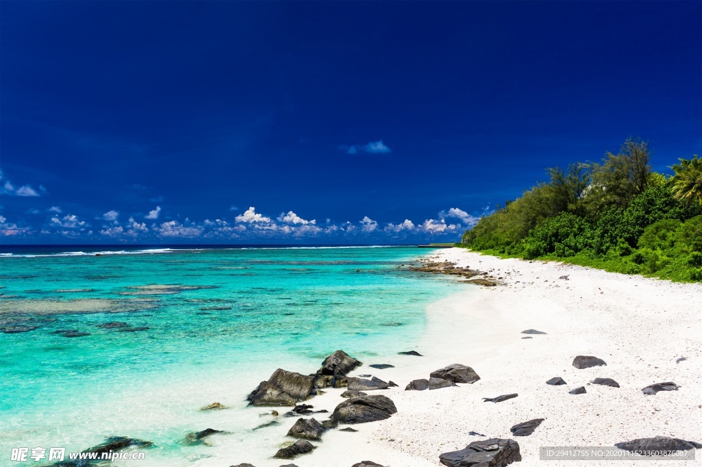 海滩棕榈椰树风景