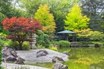 花园花圃