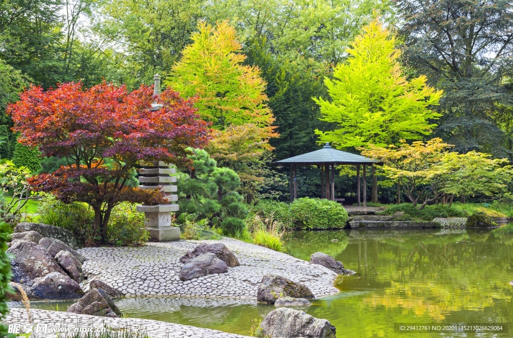 花园花圃