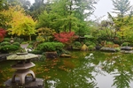 花园花圃