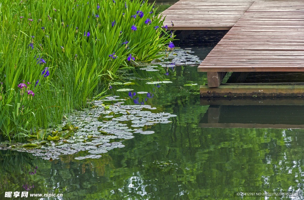 花园花圃