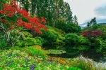 花园花圃