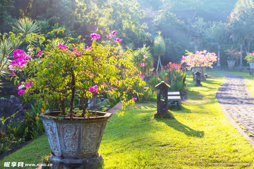 花园花圃