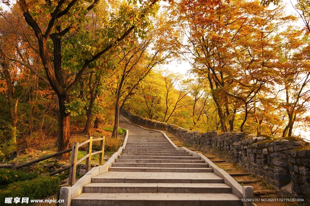 林荫小路