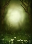 梦幻森林