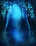 梦幻森林