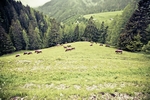 山脉山峰