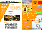金融画册