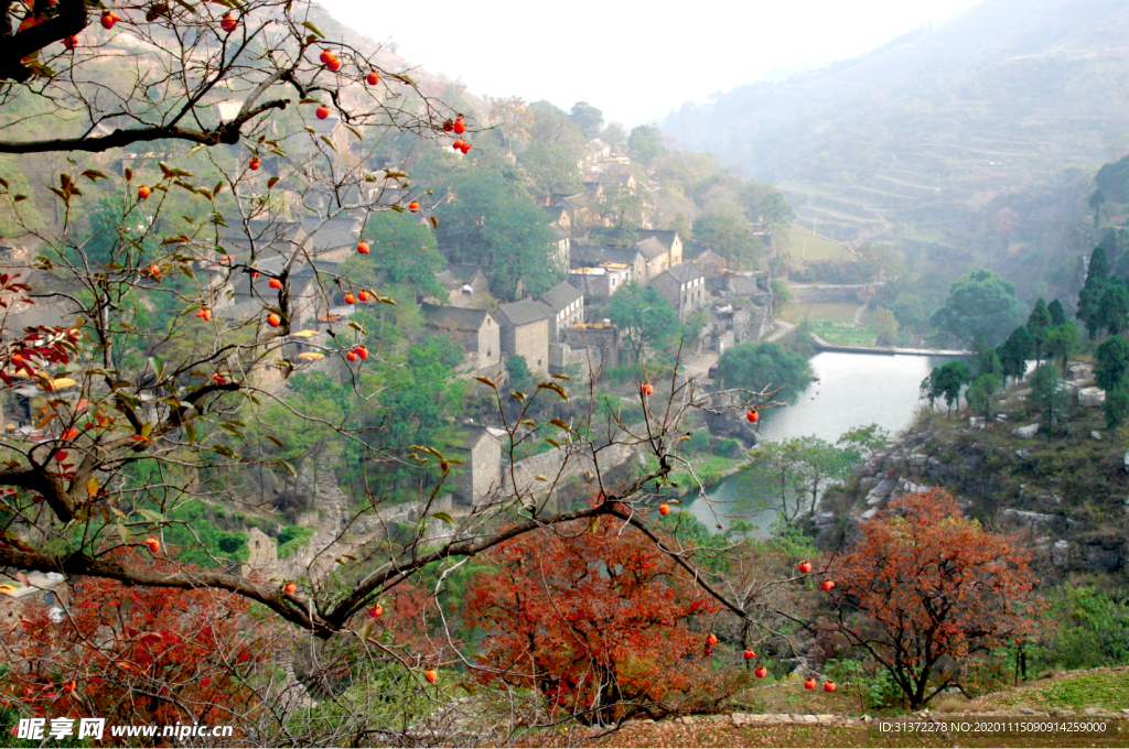 乡村田野风景图片