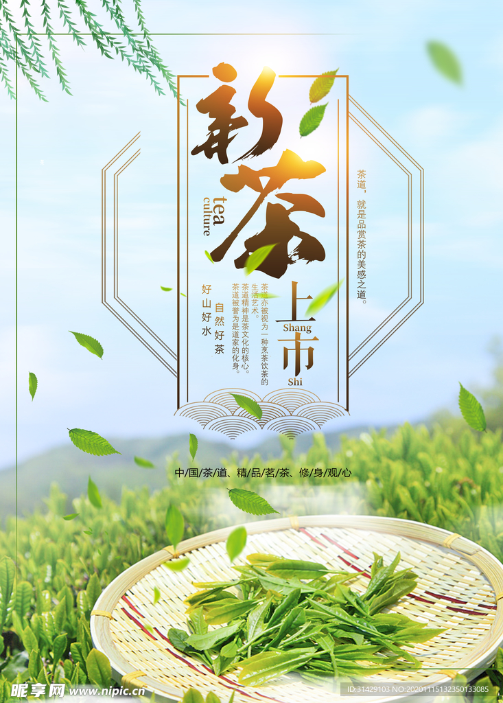 新茶