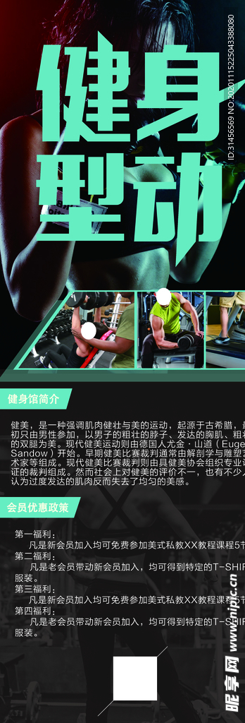 健身型动