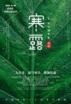 寒露图片