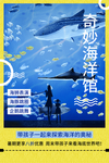 水上乐园图片