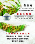 生态米名片