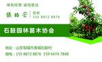 苗圃名片