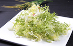 沪菜杏仁拌苦菊