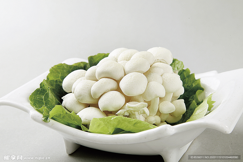 徽菜白玉菇