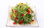 鲁菜山东菜草尖吻鲜花