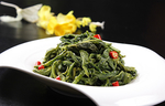 鲁菜山东菜凉拌芽菜