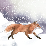 野生动物插图