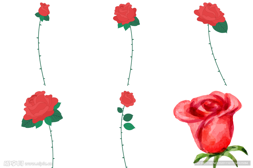 玫瑰花
