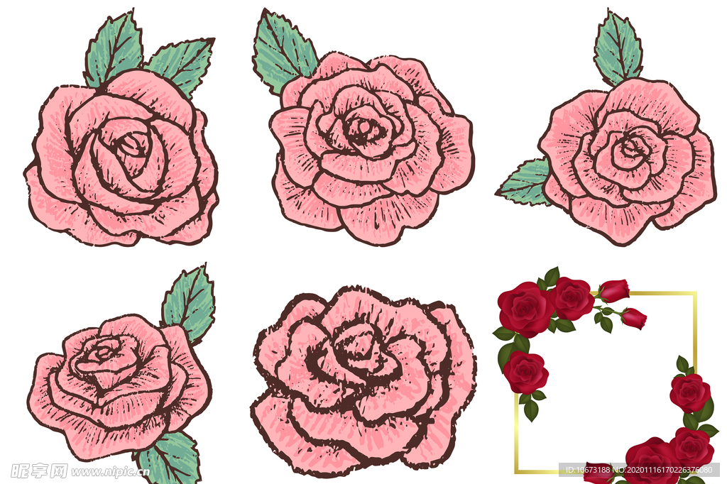 玫瑰花