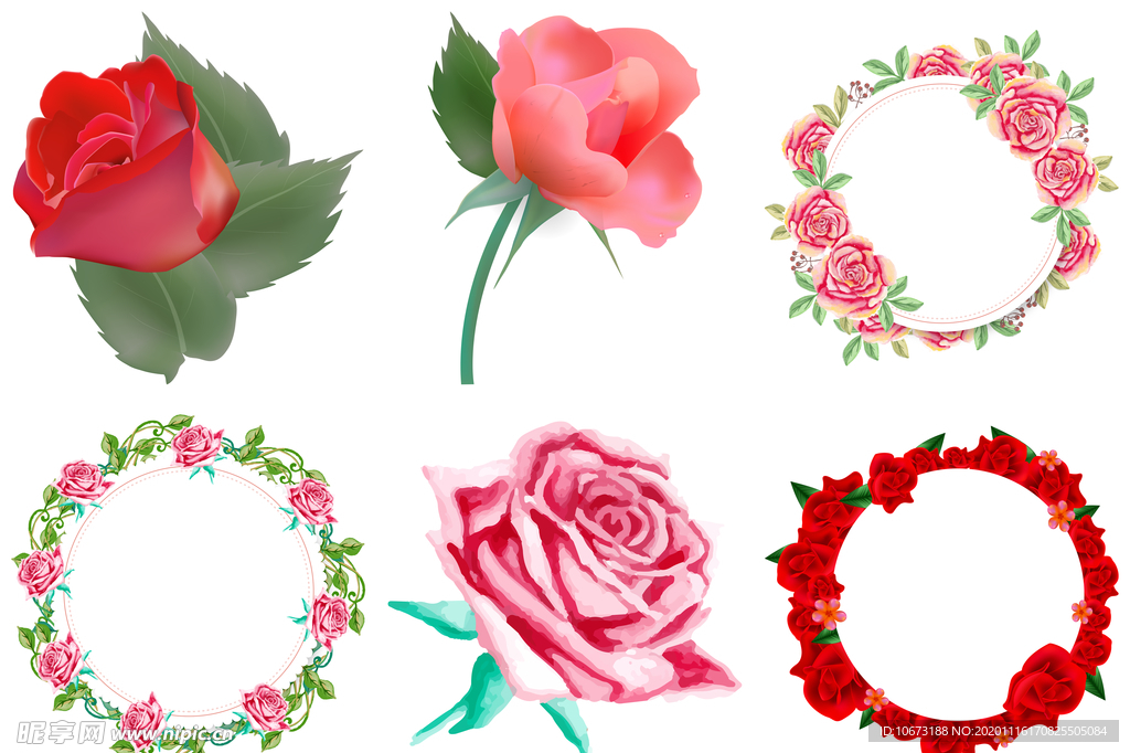 玫瑰花
