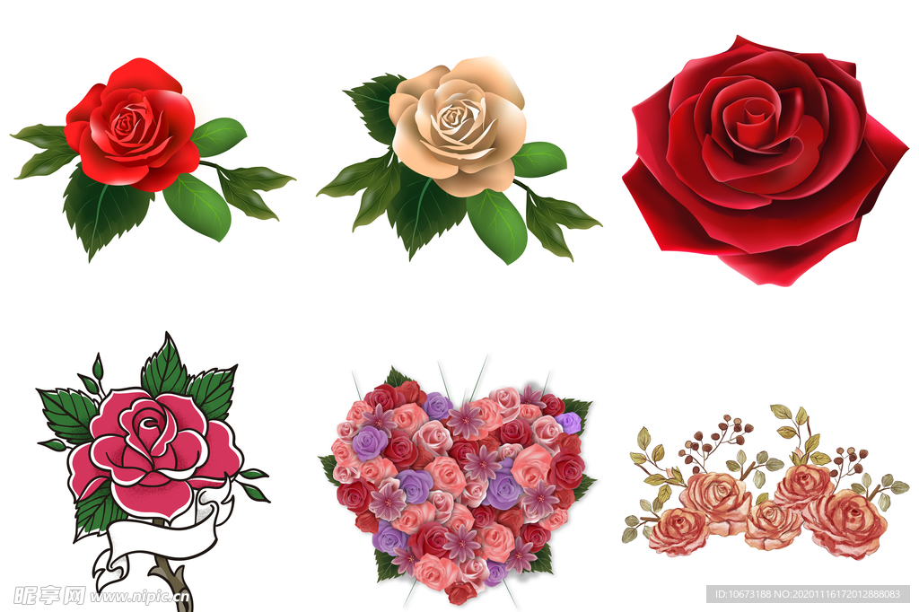 玫瑰花
