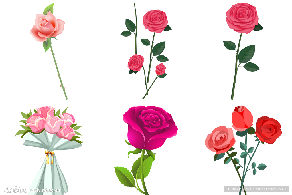 玫瑰花