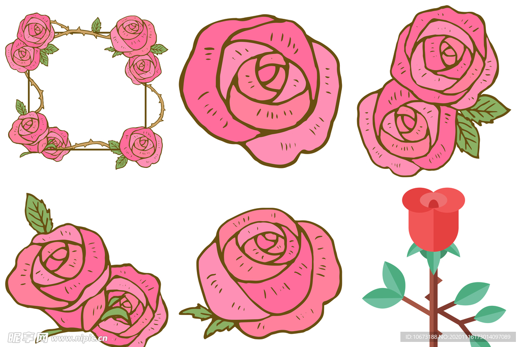 玫瑰花