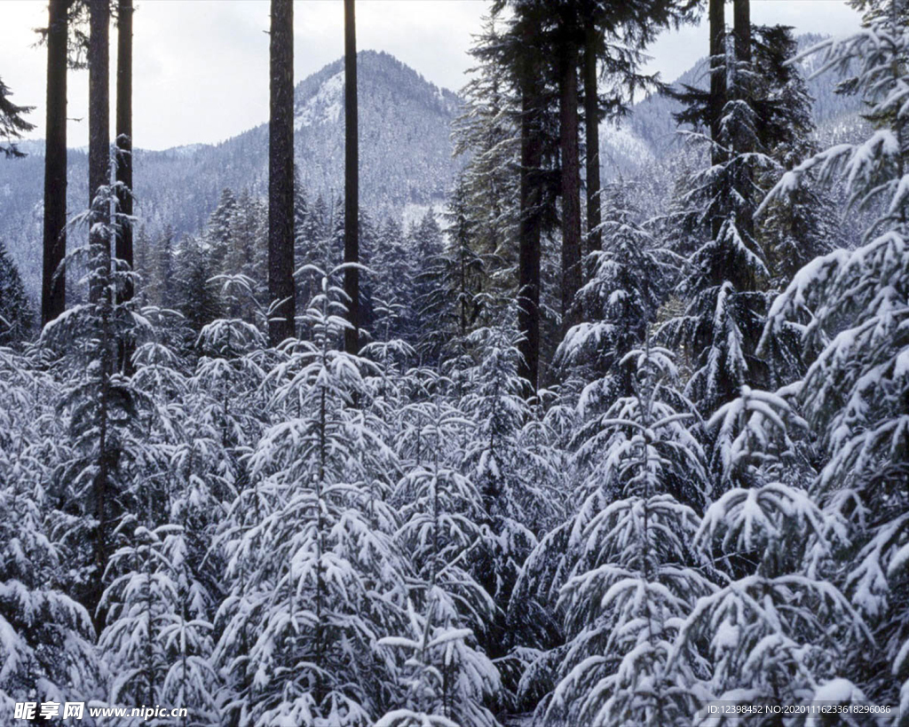 美丽的雪景山水风格摄影美图