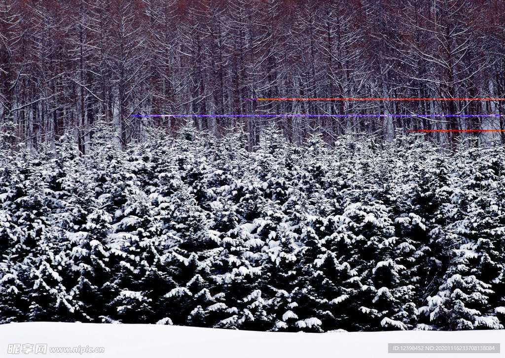 雪山雪景摄影美图