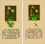 中药文化