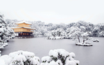 雪景