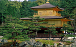 风景