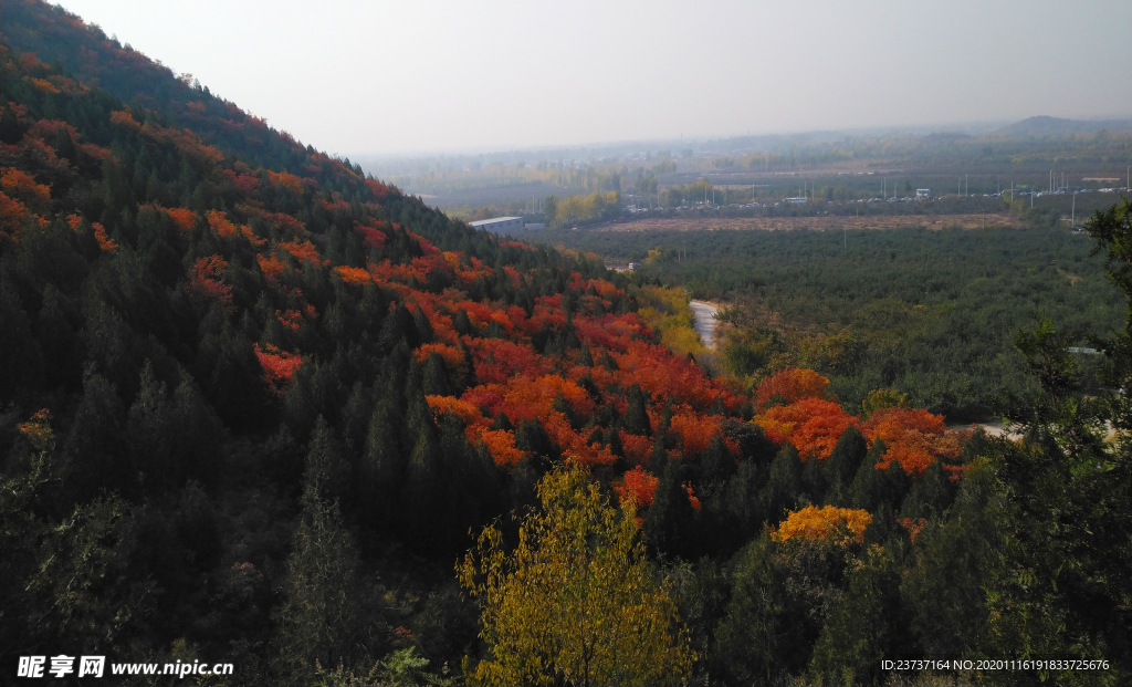 北京秋天的风景