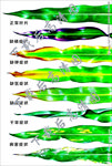 玉米叶子病态