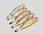 鱼