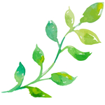手绘清新植物