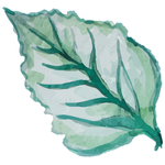 手绘清新植物