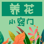 插画素材