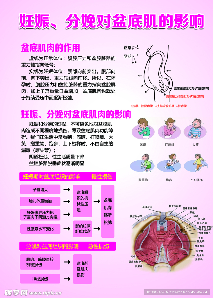 妊娠分娩