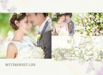 韩国风影楼婚相册模板之花期不改