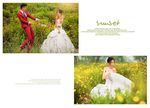 韩国风影楼婚相册模板之春色