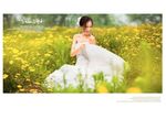 韩国风影楼婚相册模板之春色