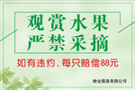 观赏严禁采摘图片