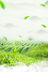 茶