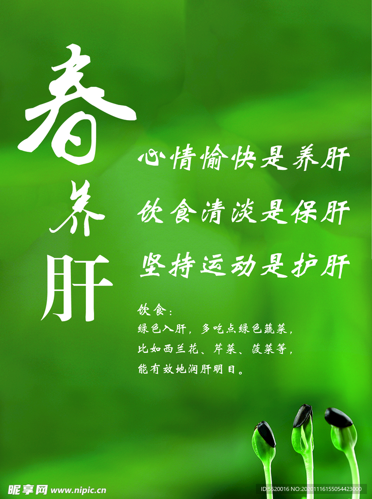 养肝彩页　海报