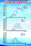 学生视力肺活量曲线图