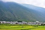 金灿灿的稻田